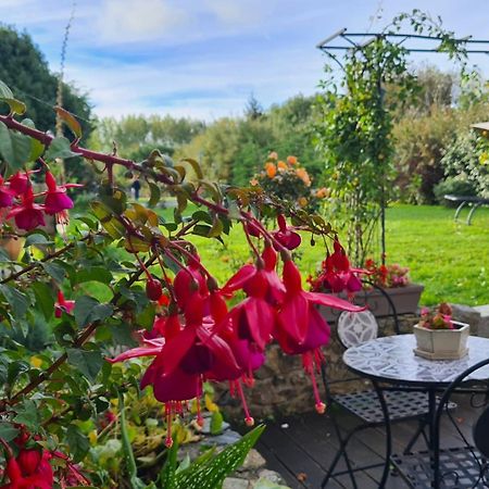 Lesroses1680 Bed and Breakfast Blainville-sur-Mer Εξωτερικό φωτογραφία
